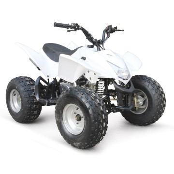 110CC ATV EPA RACING CHEAP QUAD